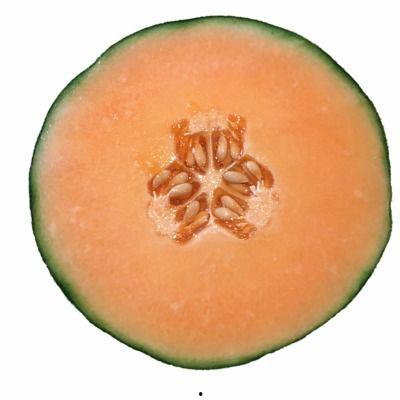 对象吃哈密瓜,品味甜蜜的夏日风情 第2张 对象吃哈密瓜,品味甜蜜的夏日风情 第2张